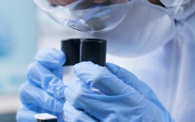 Ricerca ematologica: riconoscimento internazionale per il prof. Martelli, insignito del DKMS Mechtild Harf