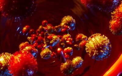 Malattie del sangue e Covid-19: è italiano il più grande studio al mondo sulle conseguenze del virus