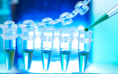 Leucemia: efficace una cura senza chemio né trapianto di staminali