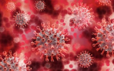 Cellule CARCIK: nuova speranza contro la leucemia linfoblastica acuta