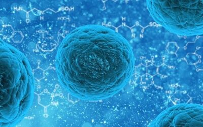 Linfoma diffuso a grandi cellule B: prospettive di cura migliorate grazie alla ricerca